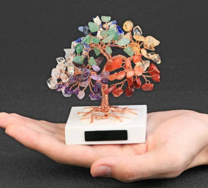 Money Tree™️