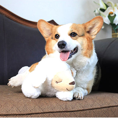 PlayDog With Heartbeat™