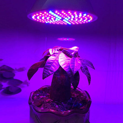 PlantGrow LED™
