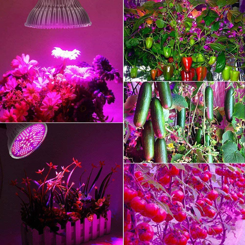 PlantGrow LED™
