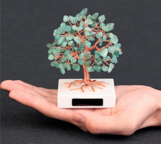 Money Tree™️