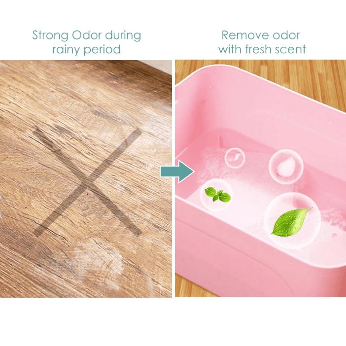 Verse Vloer Reiniging Slice