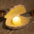 Cara Camilla™ Fantasy Schelpen lamp | Een must voor elke Disney fan - Cara Camilla