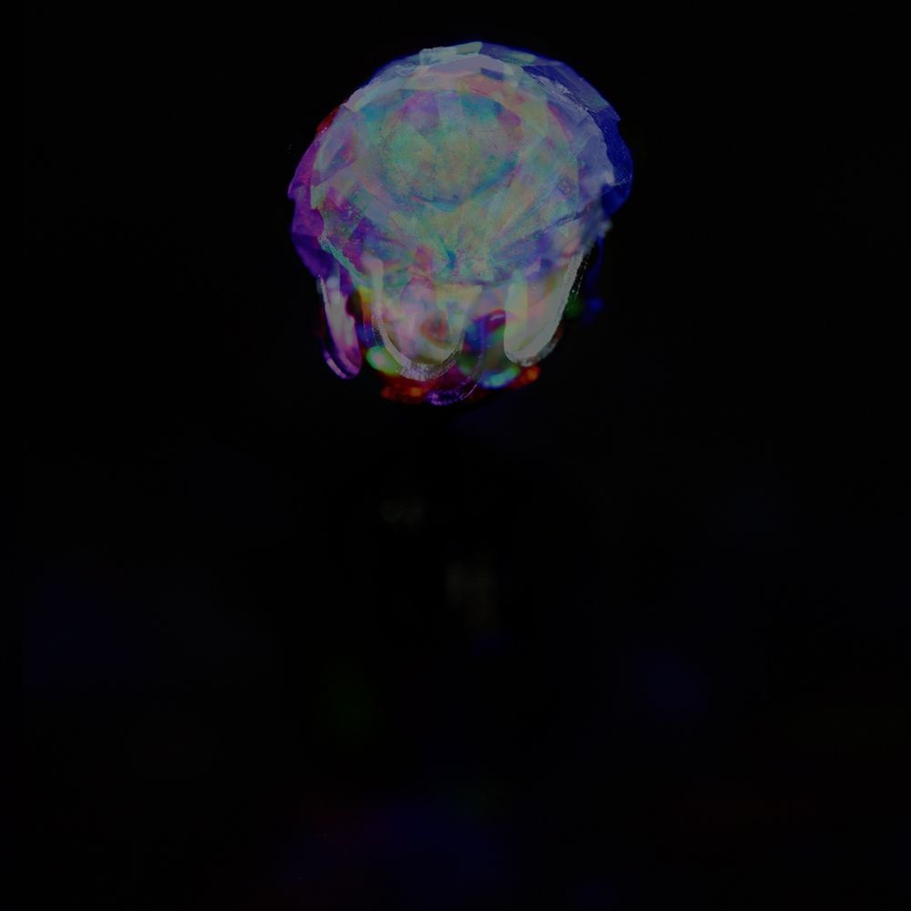 Glowy Ears | Lichtgevende Oorbellen