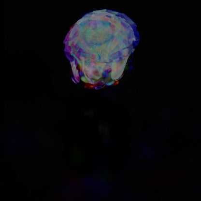 Glowy Ears | Lichtgevende Oorbellen