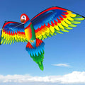 3D Parrot™