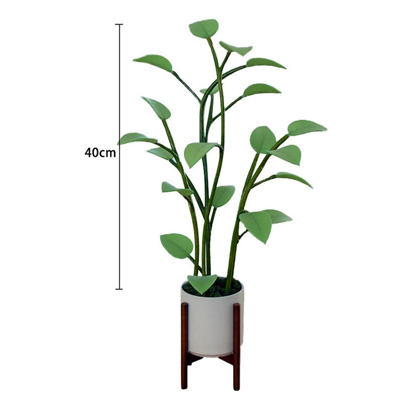 Magical LED Plant™