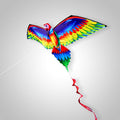 3D Parrot™