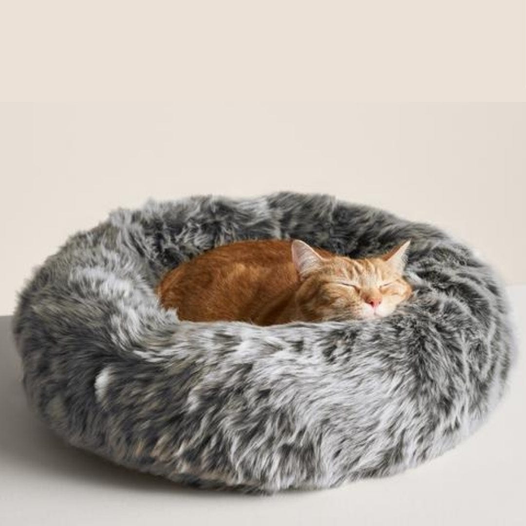 CalmingBed™ (70CM)