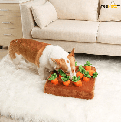 Carrot™ Schattenjacht - Hondenspeeltje