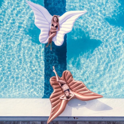 Inflatable Giant Wings™️