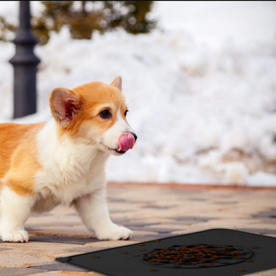 Pet Slow Feeder Mat™️