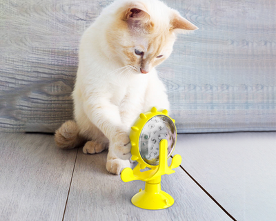 Interactive Pet Toy™ (1 + 1 GRATIS)