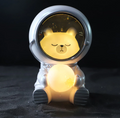 Cute Astronaut LED Light™