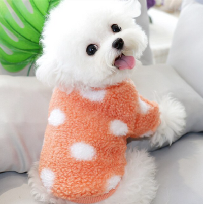 Pet Polka Dot Sweater™