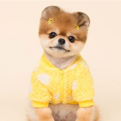 Pet Polka Dot Sweater™