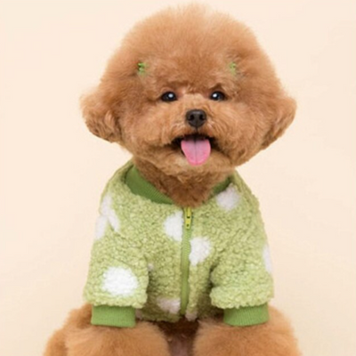 Pet Polka Dot Sweater™