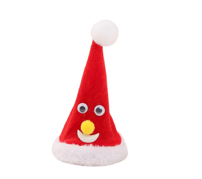 Funny Christmas Hat™