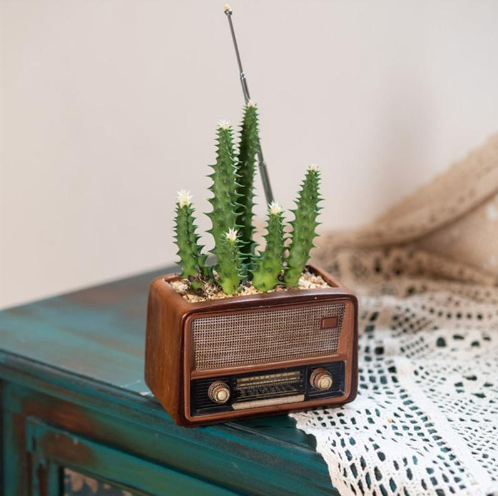 Radio Shaped Flowerpot™️