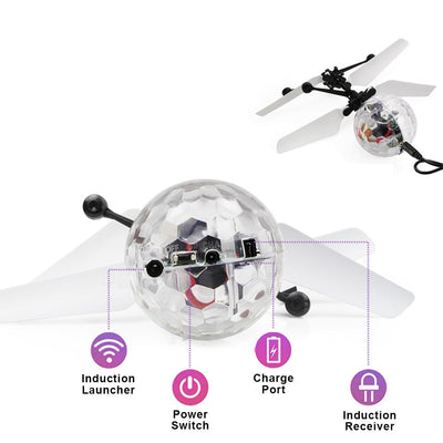 Flying Disco | Vliegende Bal