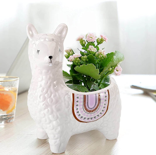 Alpaca Succulent Potten