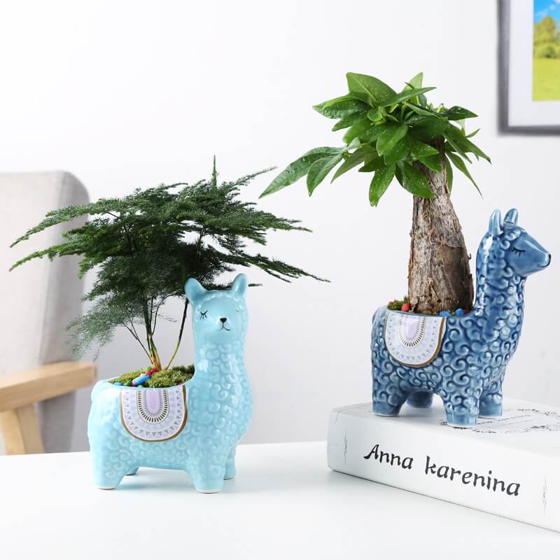 Alpaca Succulent Potten