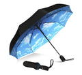Blauwe Hemel Automatische Paraplu
