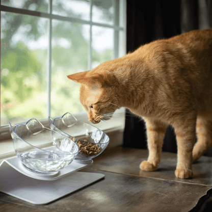 Orthopedische Katten Voederbak