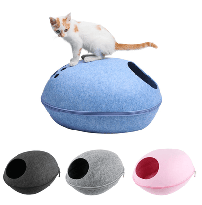 Kattengrot