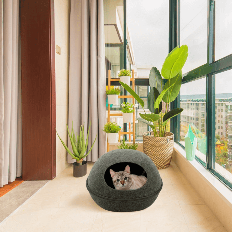 Kattengrot