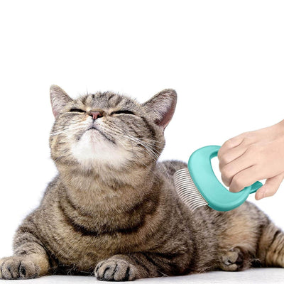 2 in 1 Katten Massage & Kam