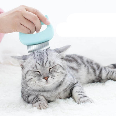 2 in 1 Katten Massage & Kam