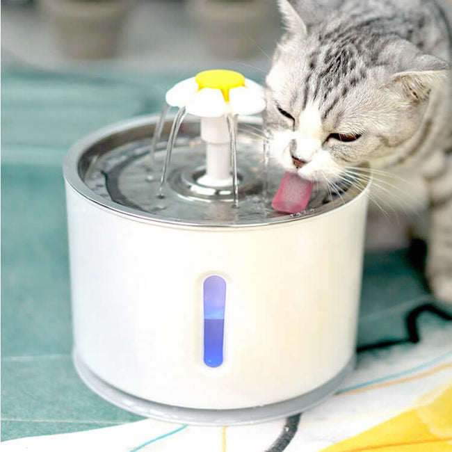 Katten Water Fontein