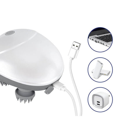 Elektrische Kat Massager