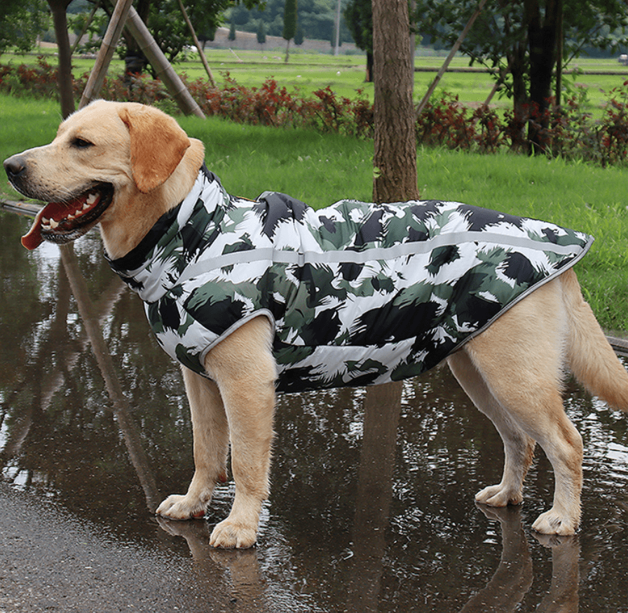 Reflecterende Hond Winterjas