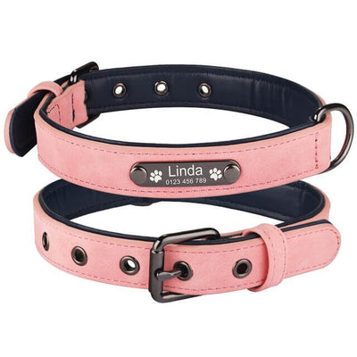 Gepersonaliseerd Honden Halsband