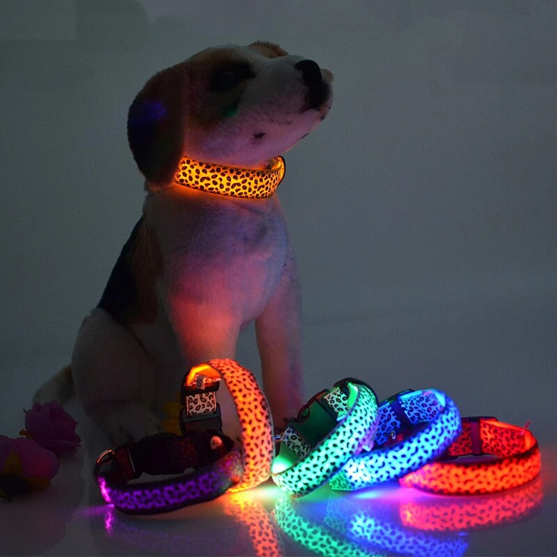 LED Honden Halsband