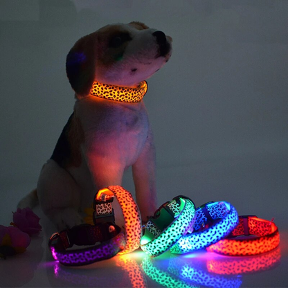 LED Honden Halsband