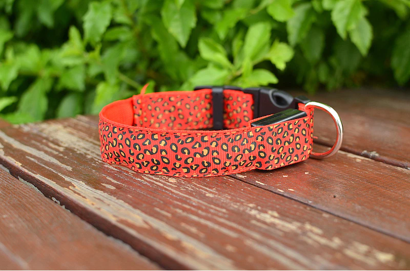 LED Honden Halsband
