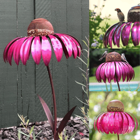 Coneflower Vogel Voederhuisje