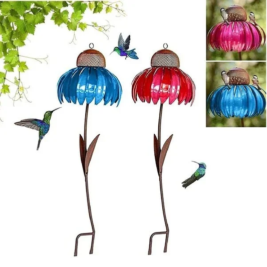 Coneflower Vogel Voederhuisje