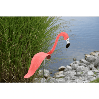 Flamingoz | Dynamische Vogel
