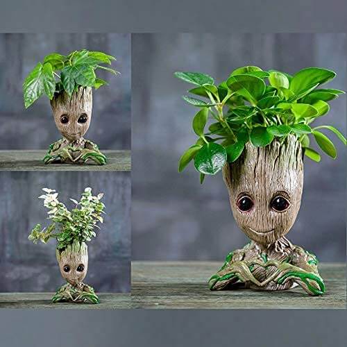 Groot Plantenbak