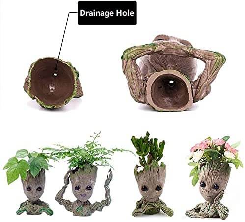 Groot Plantenbak