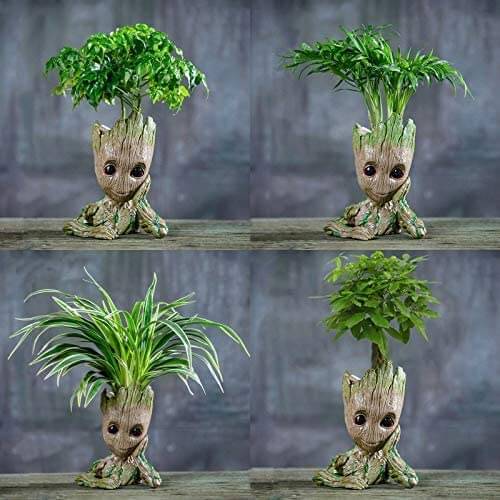 Groot Plantenbak