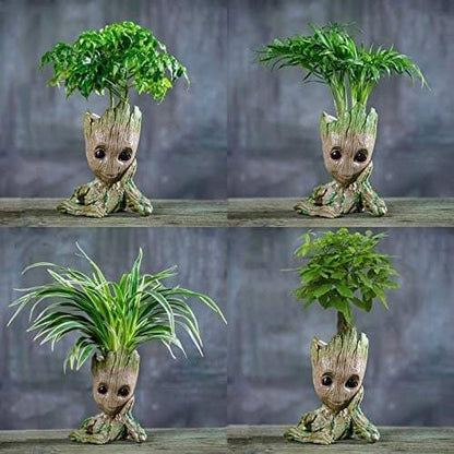 Groot Plantenbak