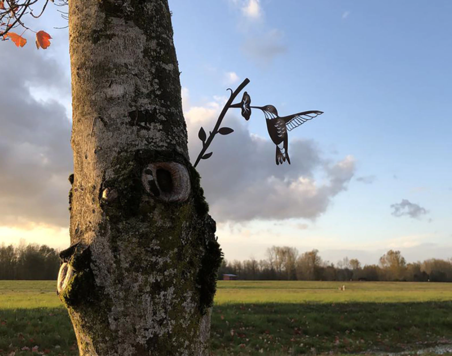 Metal Birds™