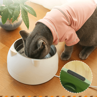 Catz | Voer- en drinkbak