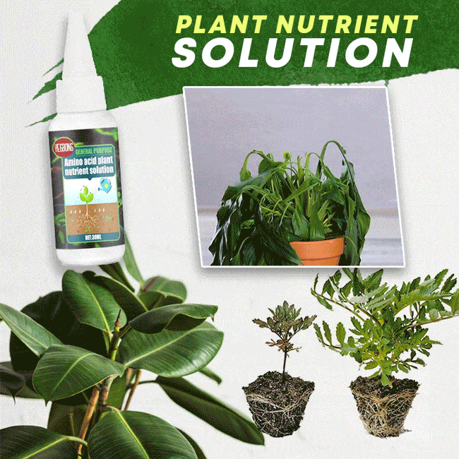 Plant Voedingsstof Oplossing