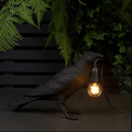 De Raven Lamp